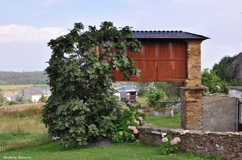 Apartamentos A Palleira Barreiros Exteriör bild